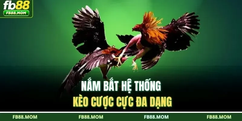 Nắm bắt hệ thống kèo cược cực đa dạng