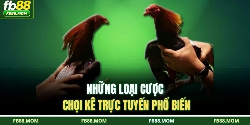 Những loại cược chọi kê trực tuyến phổ biến