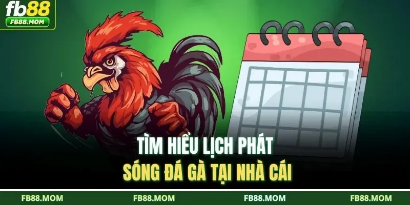 Tìm hiểu lịch phát sóng đá gà tại nhà cái