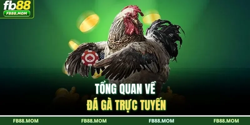 Tổng quan về đá gà trực tuyến