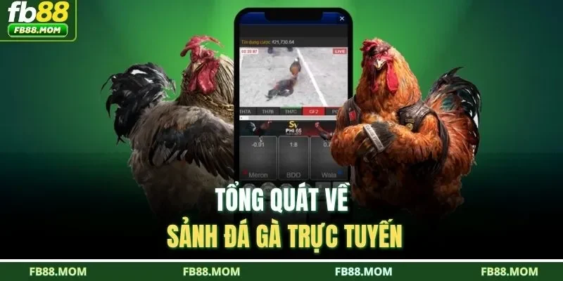 Tổng quát về sảnh đá gà trực tuyến